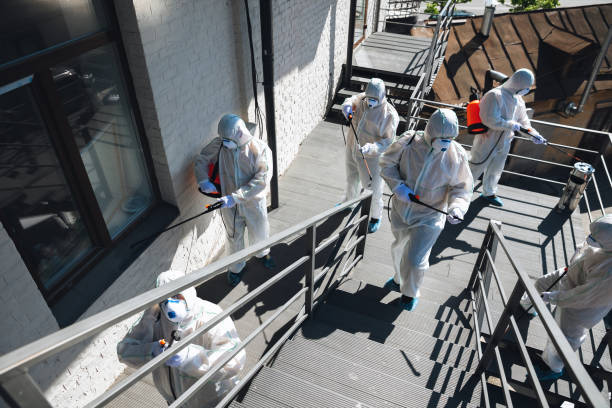 Best Forensic Mold Investigation  in Berea, SC