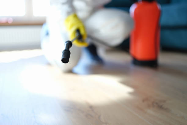 Best Mold Remediation for Healthcare Facilities  in Berea, SC