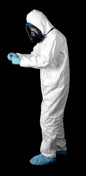 Best Asbestos and Lead Testing During Mold Inspection  in Berea, SC