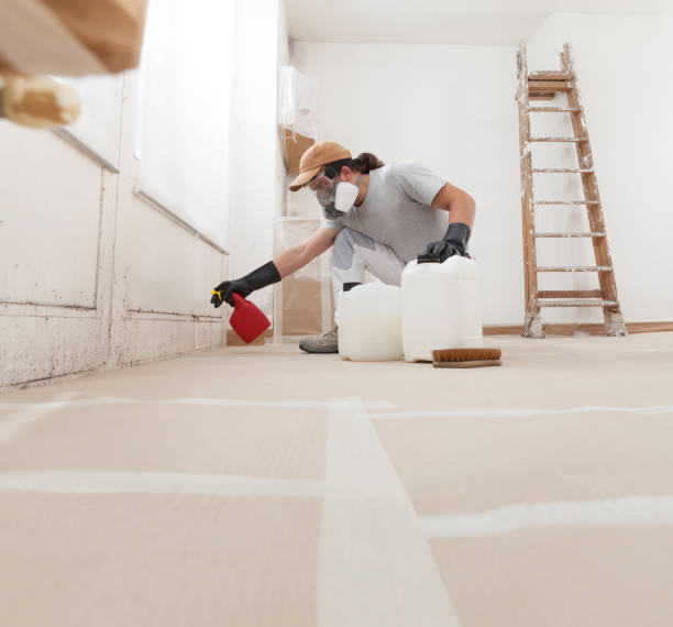 Best Mold Removal for HVAC Installations  in Berea, SC