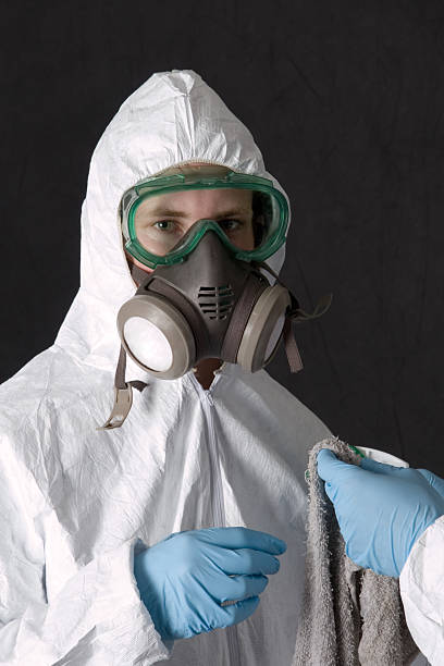 Best Mold Documentation for Insurance Claims  in Berea, SC